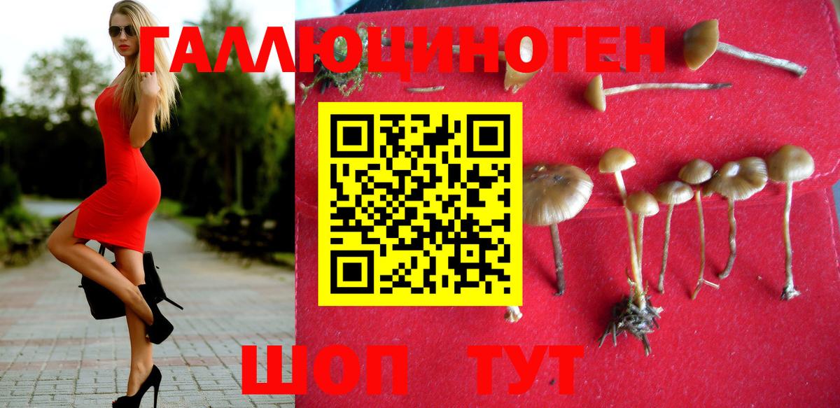 Псилоцибиновые грибы GOLDEN TEACHER Сергиев Посад
